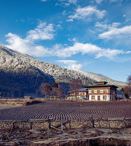Phobjikha Valley