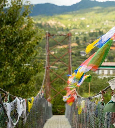 Paro