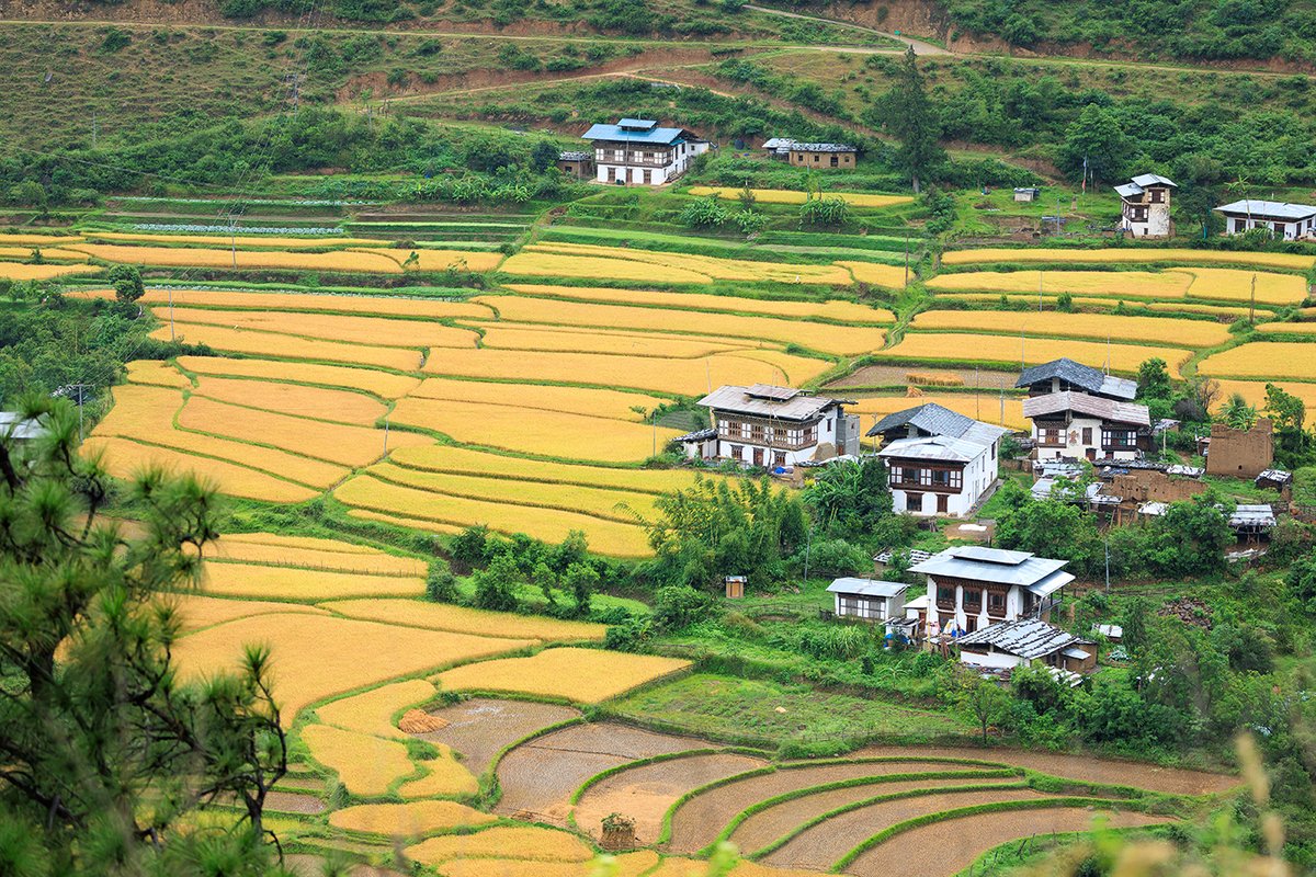 Authentic Bhutan Homestay Tour