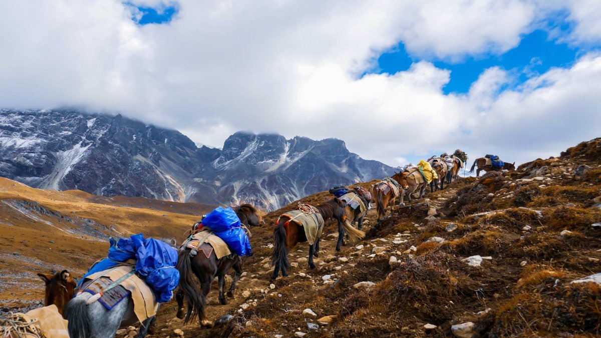 Druk Path Trek