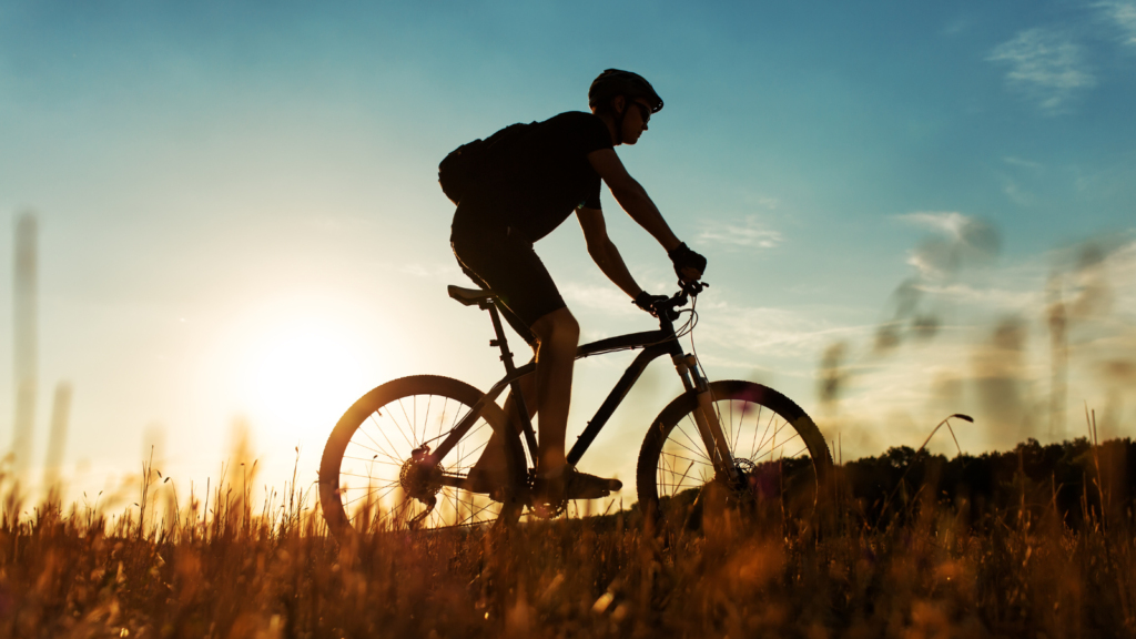 SD Cycling Tour (Paro Valley)