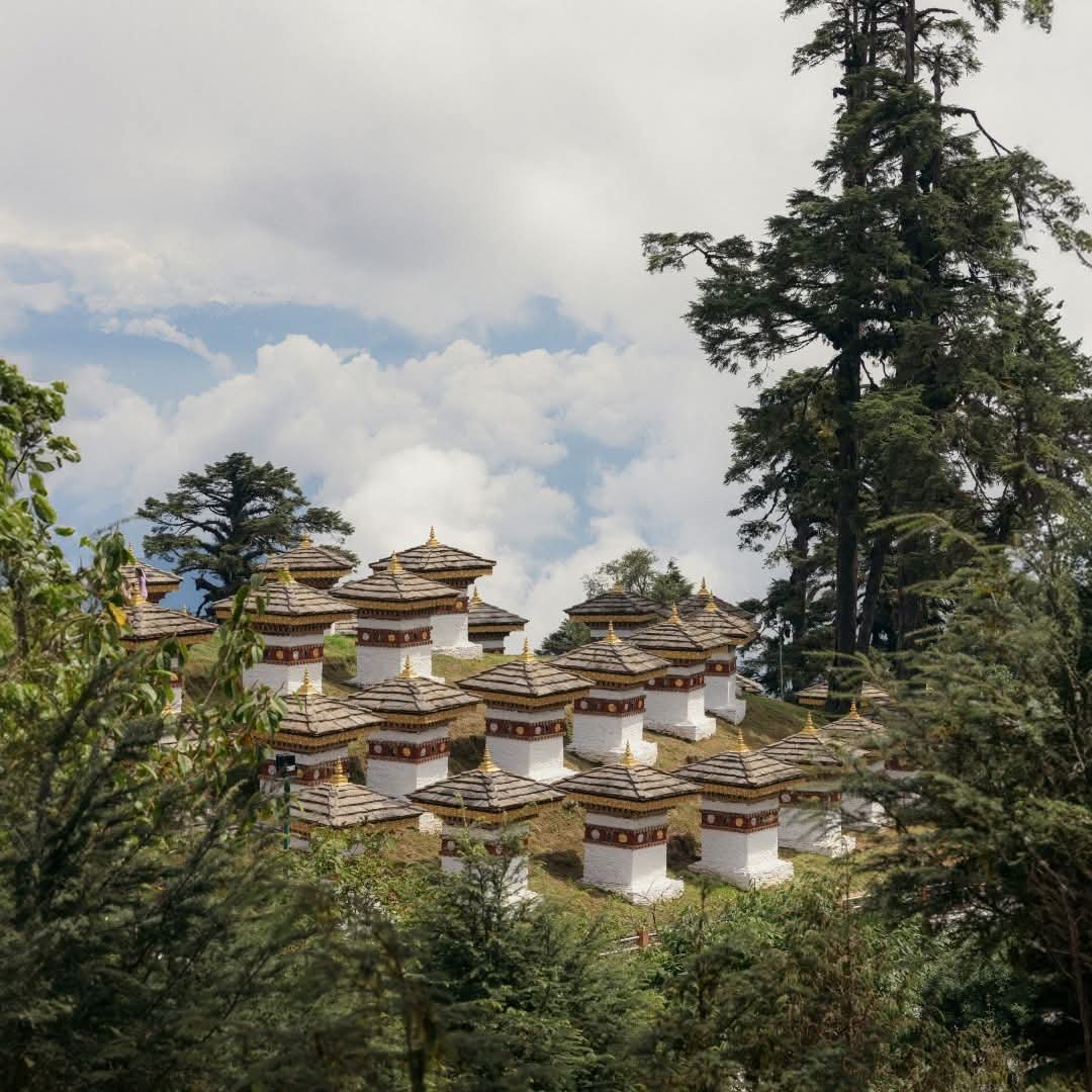 Travel with Journey 2 Nature