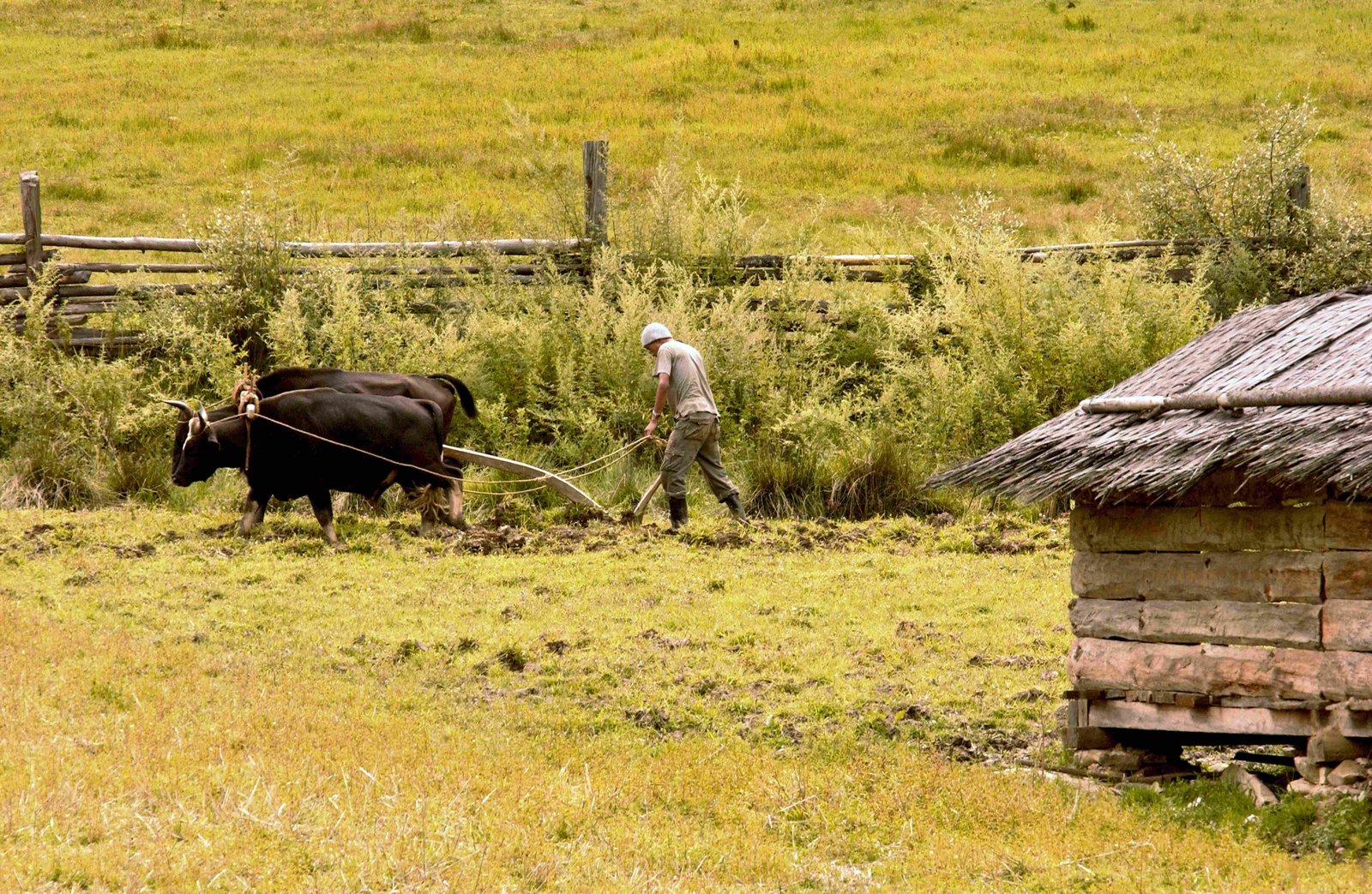 Bhutan Unscripted: Beyond Monasteries, Into Experiences