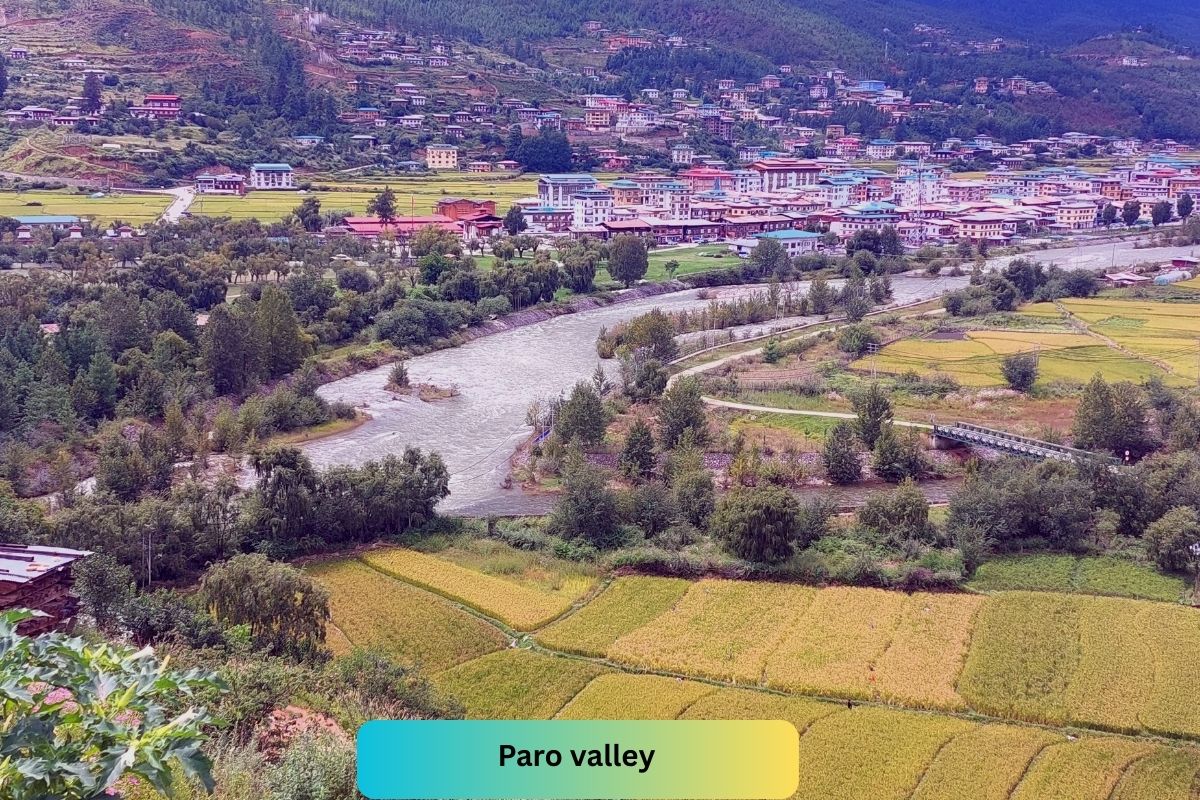 Bhutan Relaxation Tour