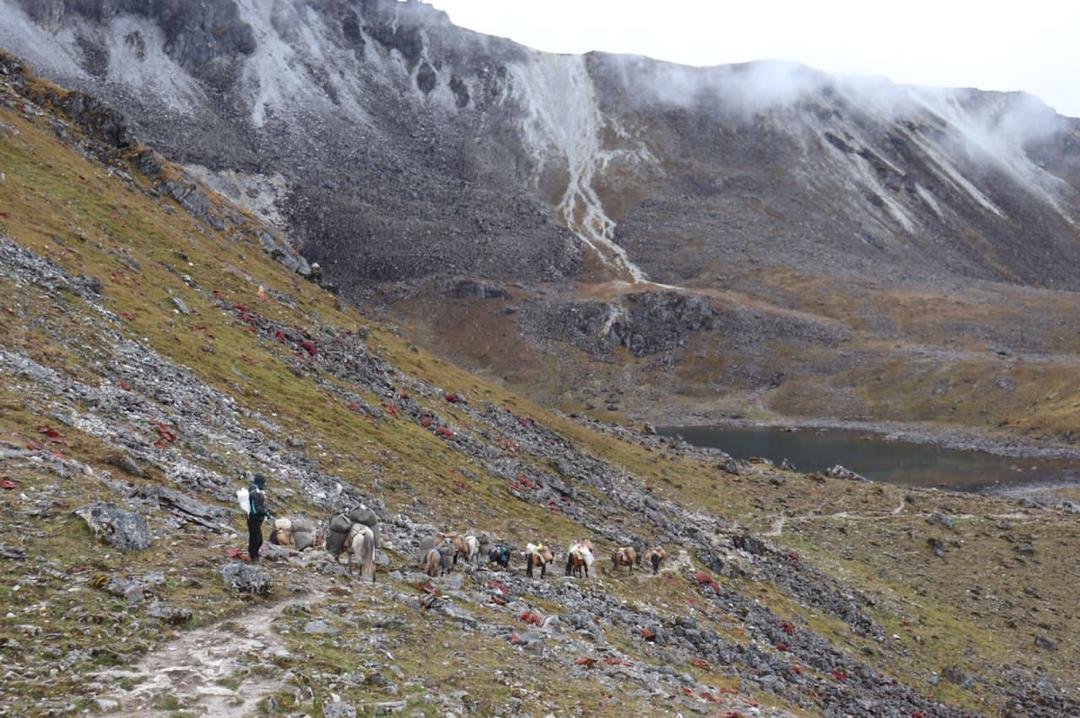 Thinley pelbar tour and tracks