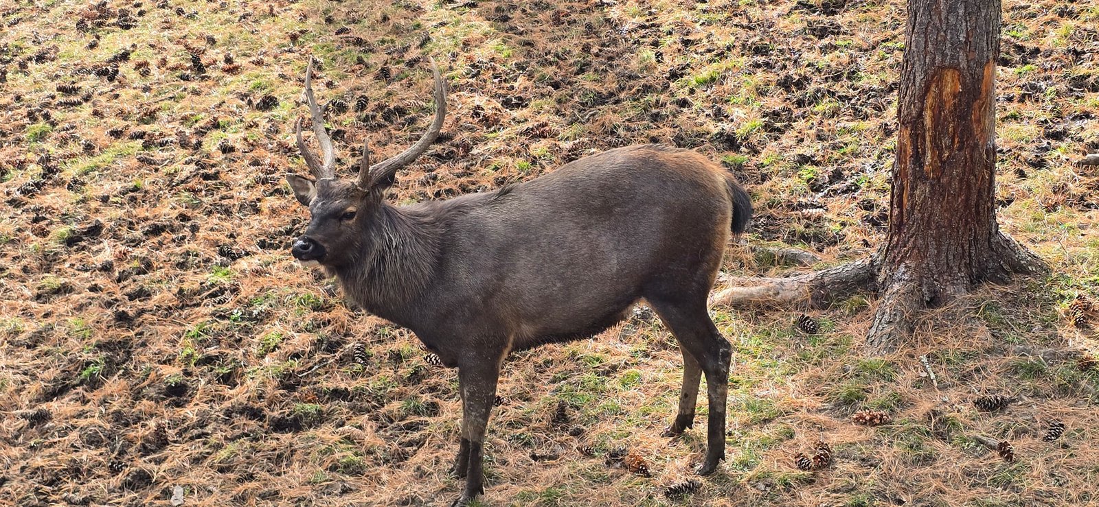 Peaks, Passes & Peace