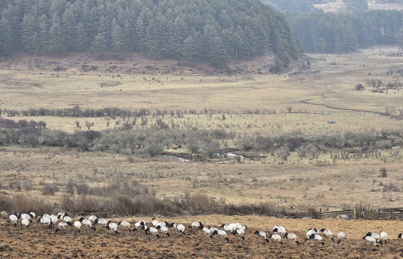 Scenic & Nature Inspired